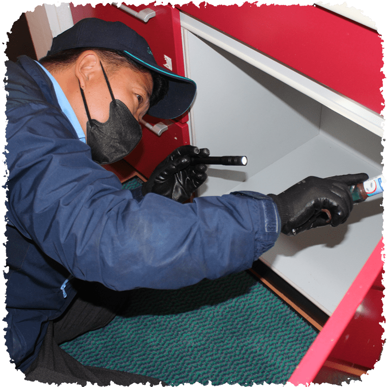 害虫駆除の画像